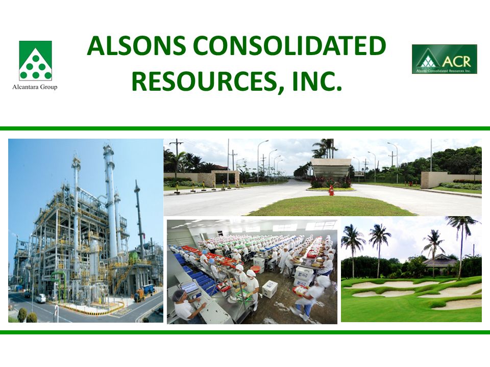 Alsons revives Indonesia expansion plan